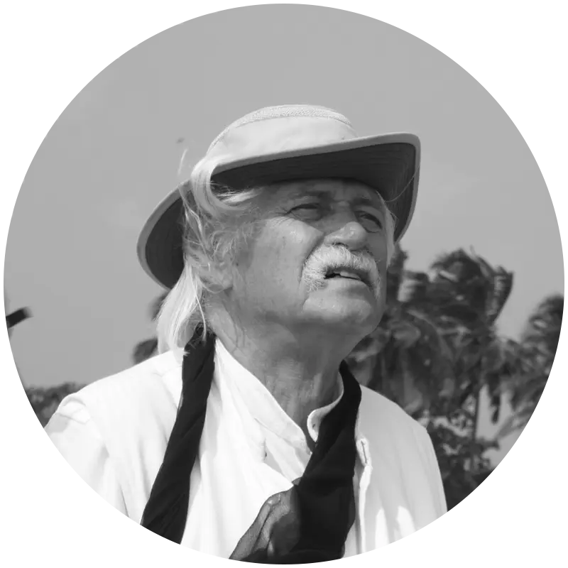 Pierre Pringiers